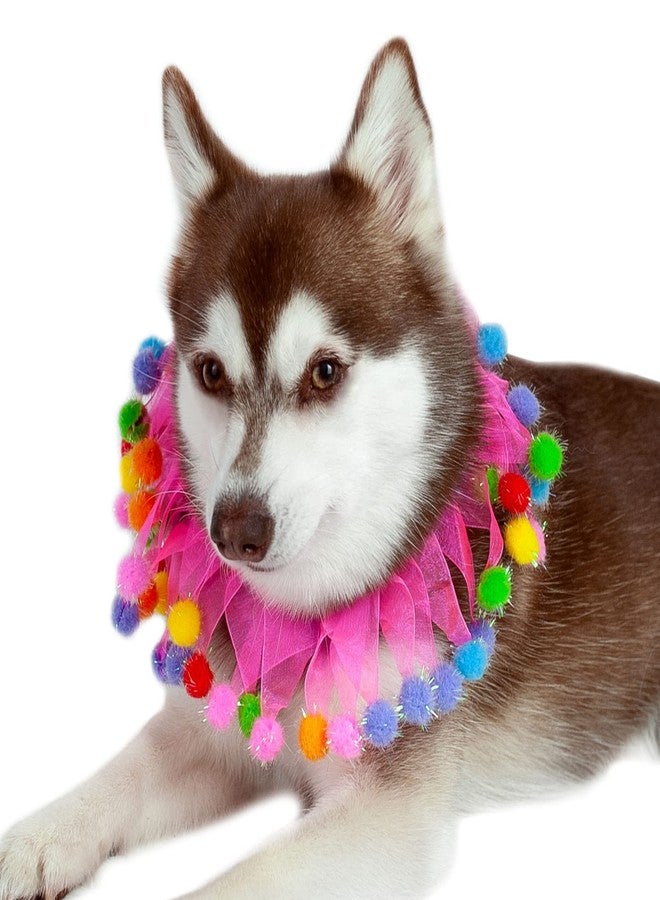Midlee Pink Birthday Pom Pom Dog Collar (X-Large) - Image 5